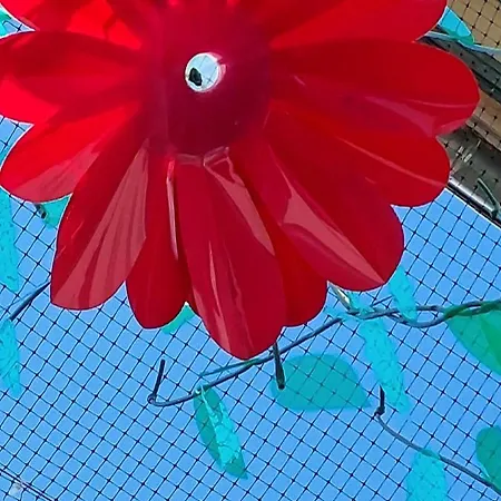 Le Loft De La Robine 110m2