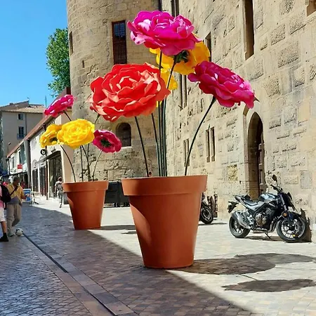 Apartment Le Loft De La Robine 110m2